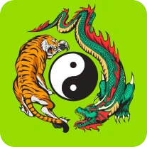 dragontiger dragontiger